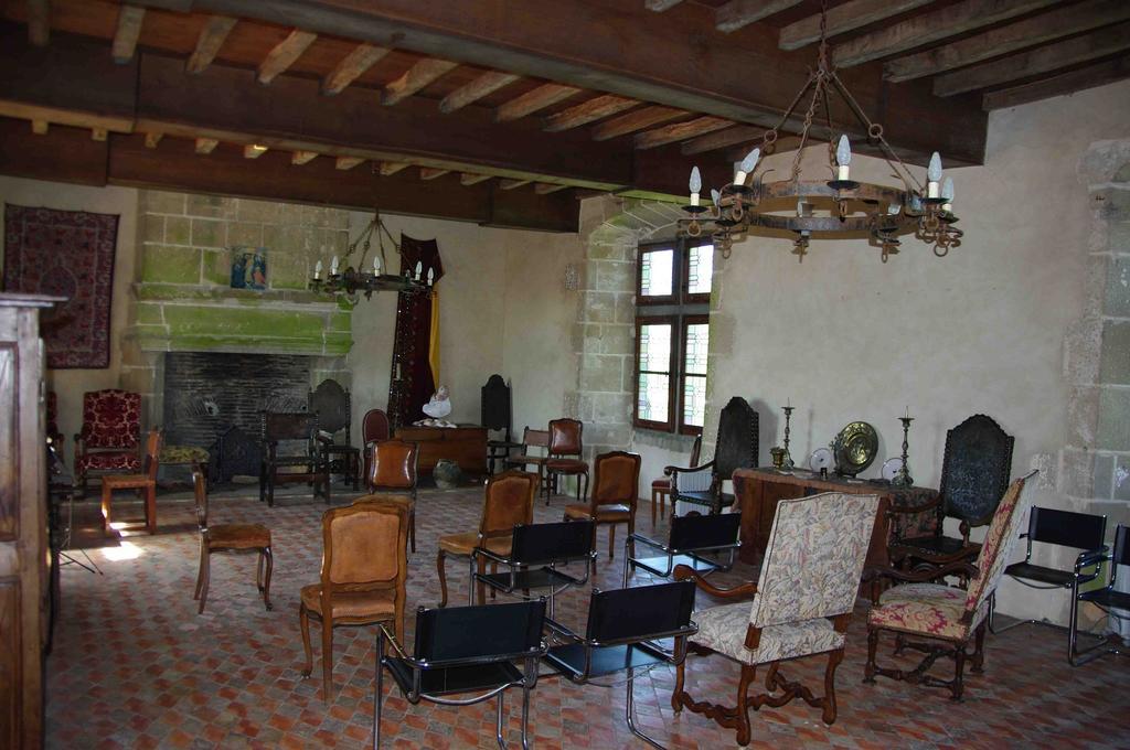 Chateau De Vermette Hotel La Chapelle-Gaudin Room photo