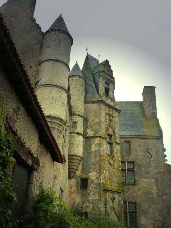 Chateau De Vermette Hotel La Chapelle-Gaudin Room photo